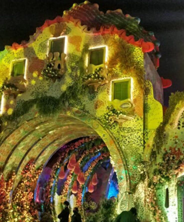 The-DB-Group-Sons-Reception-1