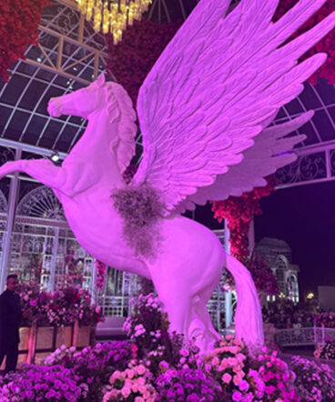 The-Indore-wedding-3